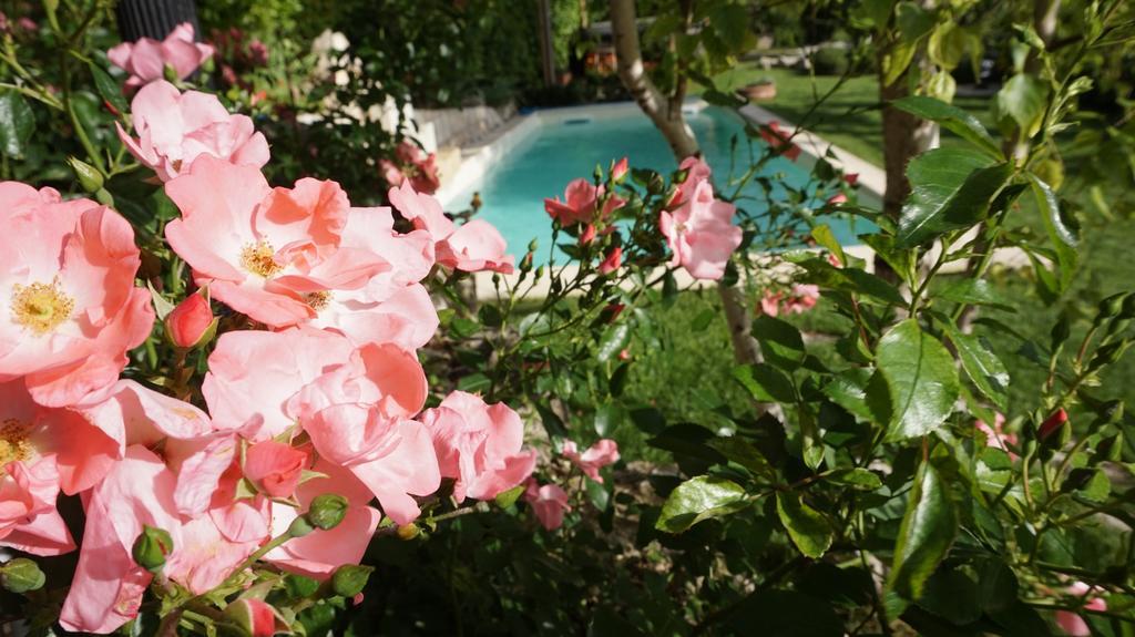 Bed and Breakfast Mary'S Dream Manoppello Exteriér fotografie