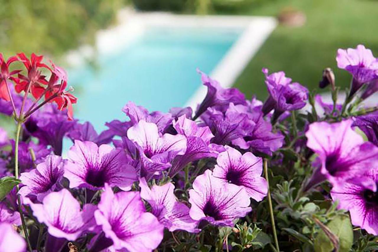 Bed and Breakfast Mary'S Dream Manoppello Exteriér fotografie